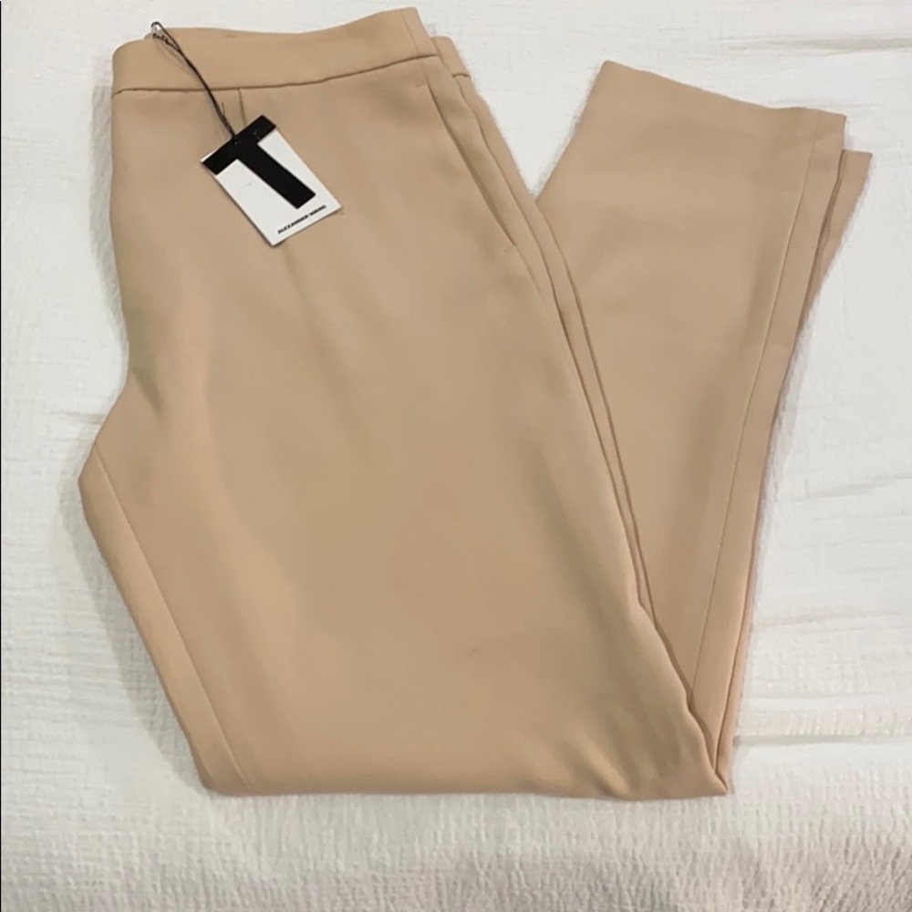 Rose T Alexander Wang slack